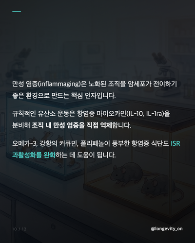 ep05 s5 detail v2.png