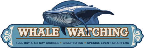 image removebg preview (74).png