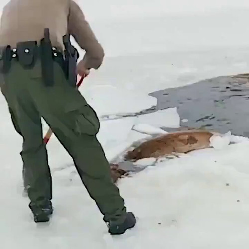 1Z8aIfUgjRBdz4 9.jpg