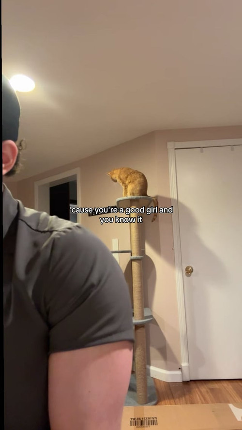 hold on were going home acoustic cover v0 dnJ2a21mMXN3NnNnMV3H0YCXu5dEmfRA4tXnosv 6VsA 4Ot0Z1xtk1cWa.jpg