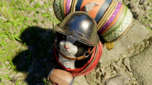 HEf4 haoAABdzx?format=jpg.jpg