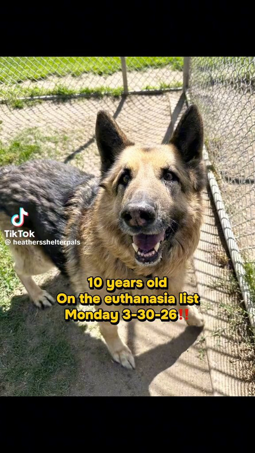 Nto sGgoYskM3UVi.jpg