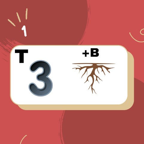 Screenshot 2026 0330 153552.jpg