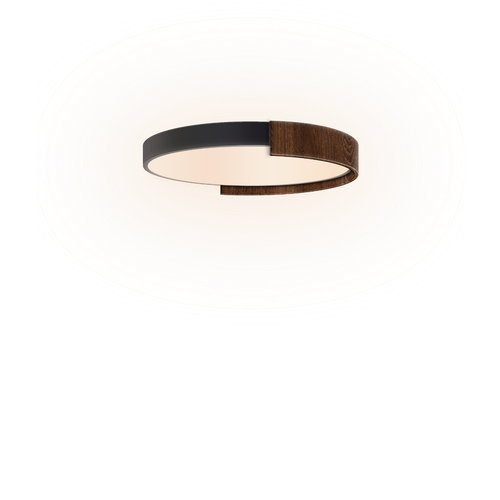 light.rgbwaf medium.png