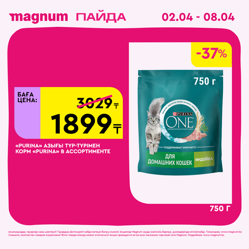 Magnum 1440x1440 1 tov (23).png