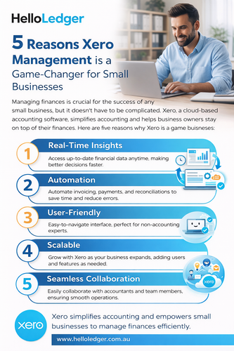5 Reasons Xero Management is a Game Changer for Small Businesses.png