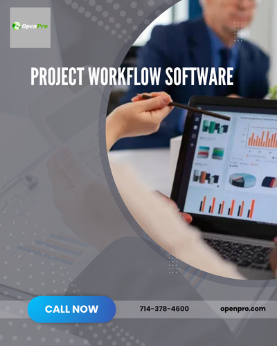 Project Workflow Software.png