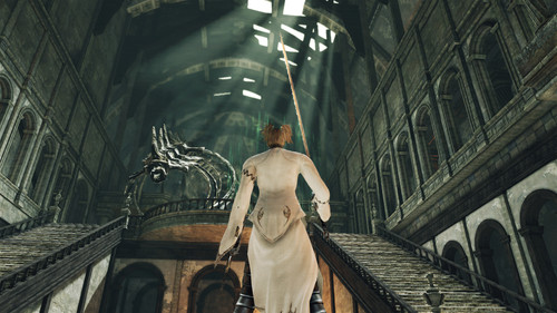 dark souls 2 43992980070 o.jpg