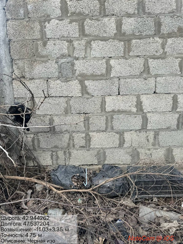 photo 11 2026 03 31 20 57 13.jpg