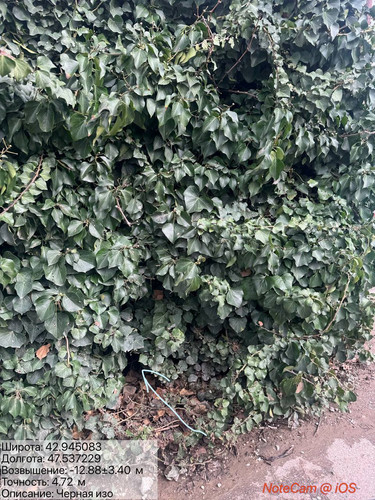 photo 12 2026 03 31 20 57 13.jpg