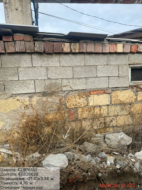 photo 25 2026 03 31 20 57 13.jpg