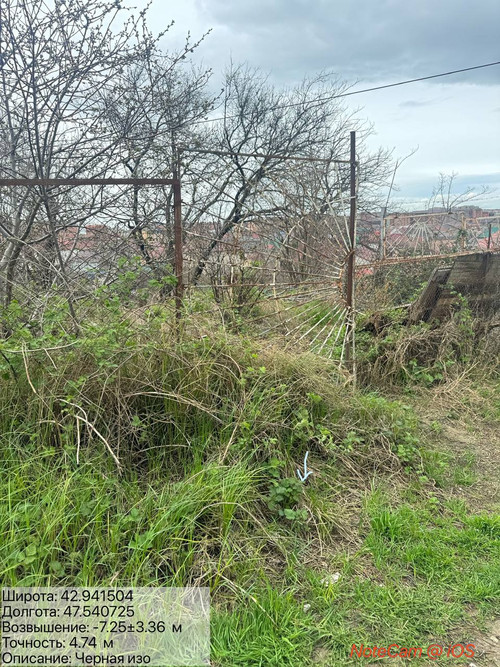 photo 3 2026 03 31 20 57 13.jpg