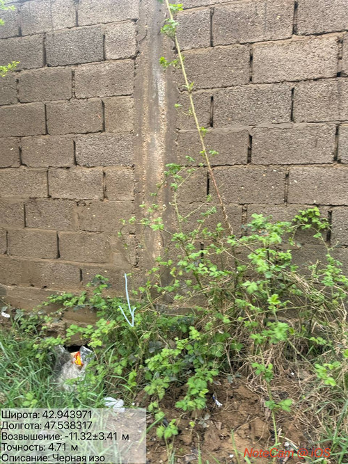 photo 8 2026 03 31 20 57 13.jpg