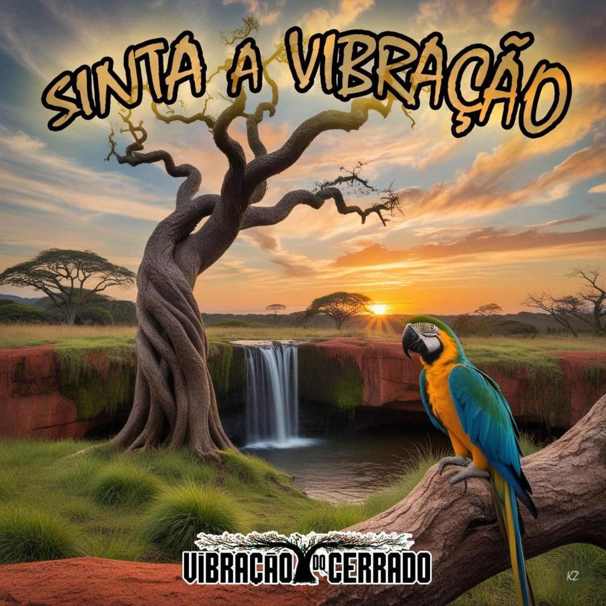 Vibracao do Cerrado - Sinta a Vibracao