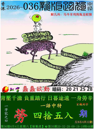 p9.jpg