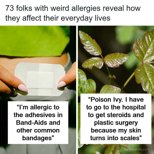 health wellness lifestyle.jpg