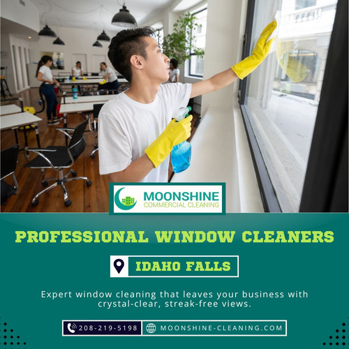 Professional Window Cleaners Idaho Falls.jpg