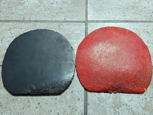 BKXY8WG.md.jpg BKXY8WG.md.jpg