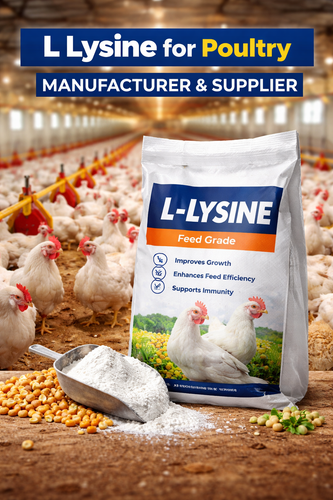 Premium L Lysine for Poultry Manufacturer and Supplier Globally.png