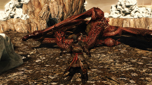 dark souls 2 43992967370 o.jpg