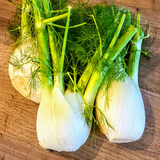 white fennel1.png