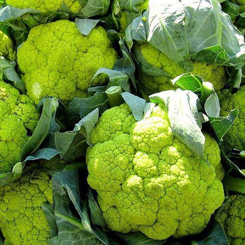 cauliflower 1.jpg