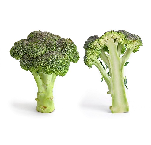 broccoli 2.jpg
