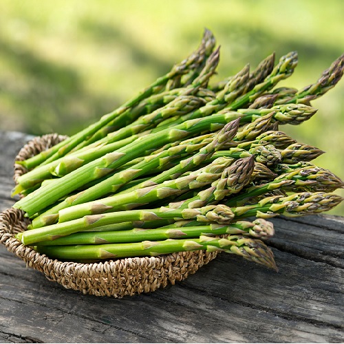asparagus 3.jpg