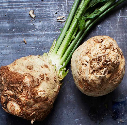 Celeriac vegetable2.jpg