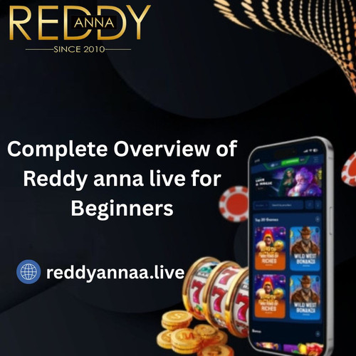 Complete Overview of Reddy anna live for Beginners.jpg