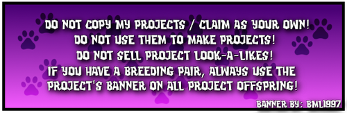 beetriz proj rules2 purple