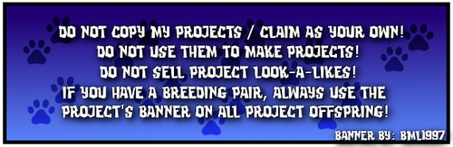 beetriz proj rules2 blue