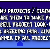 beetriz proj rules2 blue