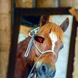 bx20605 ttqduvHV3IDc.png