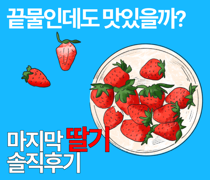 6살 아이 최고의 간식 추천.. 딸기 시즌 곧 끝나요
