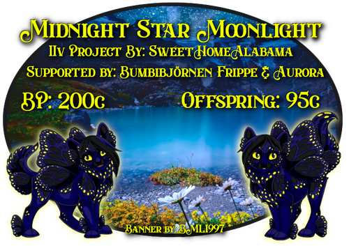 midnight star moonlight