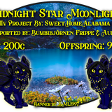 midnight star moonlight