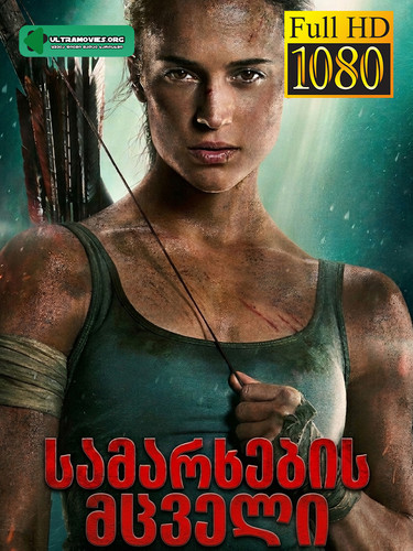 tomb raider cover.jpg