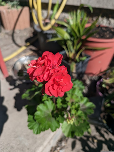 AGC 8.8 + normal 1x.jpg