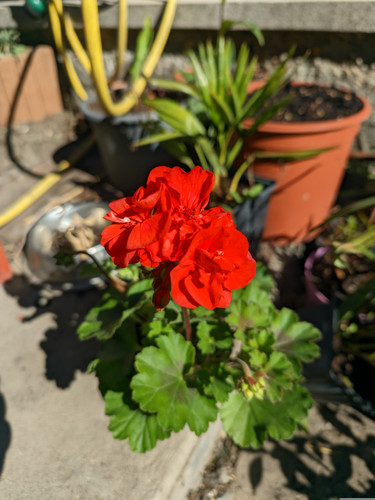 AGC 8.8 + normal 1x (AW).jpg
