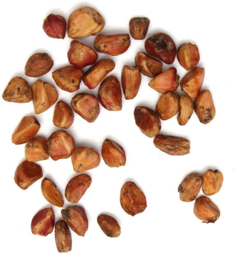 white rose flower seeds.jpg