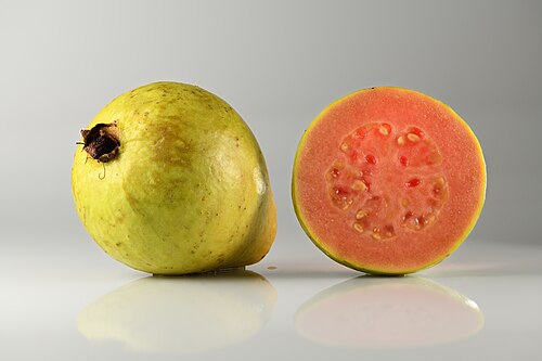 Stacked from 16 images.jpg