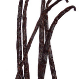Vanilla