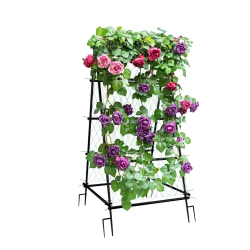 s l960.webp