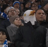 ezgif 8c15ac640c7d7f39.gif