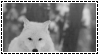 dchueqa 0c9e50dc e7f8 4022 b04f 69cad217087a.gif
