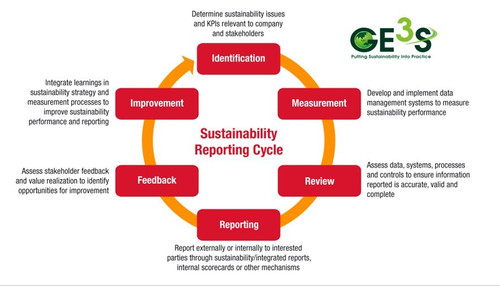 Sustainability reporting consultant.jpg