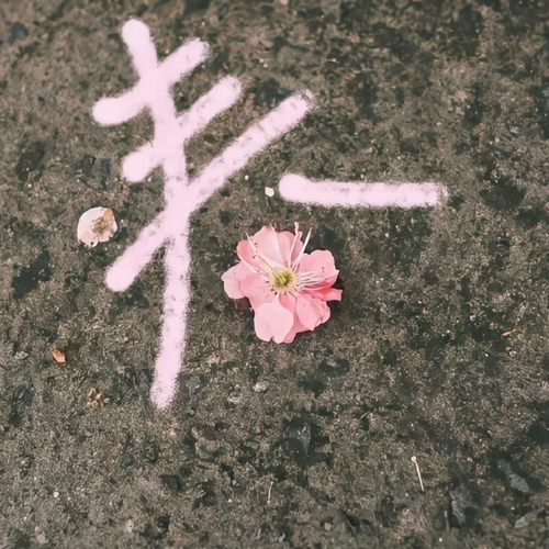 img 1777630828431.png