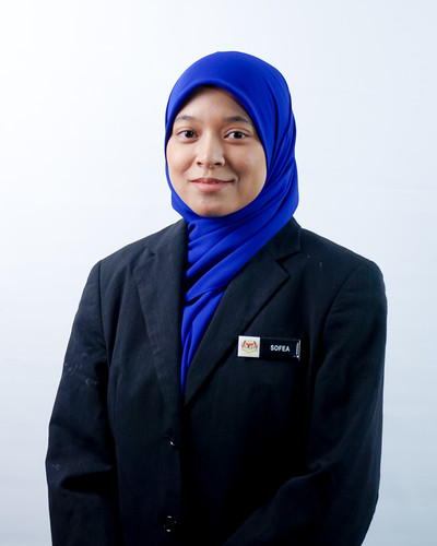 SOFEA.jpg