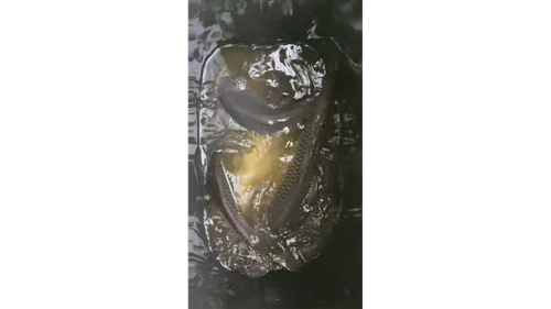 2026.05.01 2